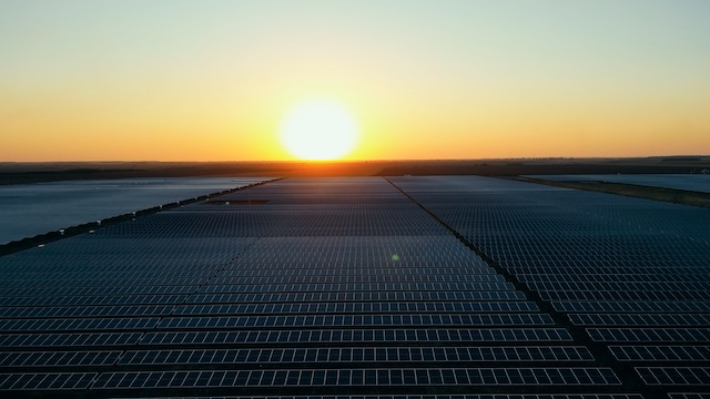 uploads/news/Parapet_Alerion copy.jpeg